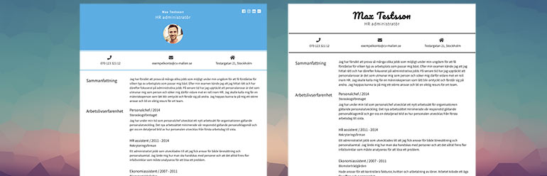 how you can customize your cv to get different looks