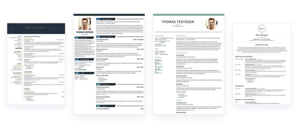 4 cv template examples