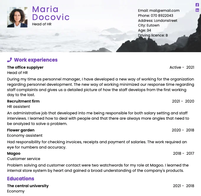 Example of what a CV template looks like